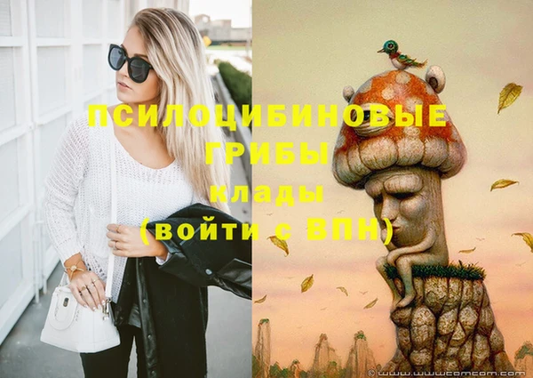 мдпв Медногорск