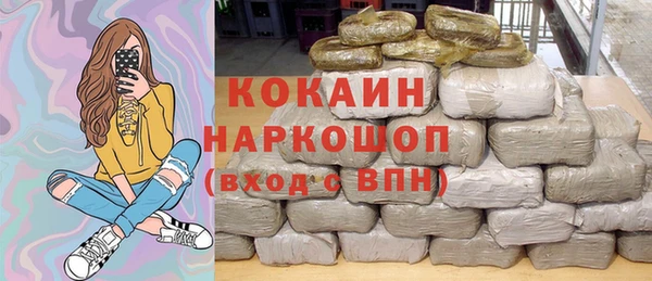 молекула духа Медвежьегорск