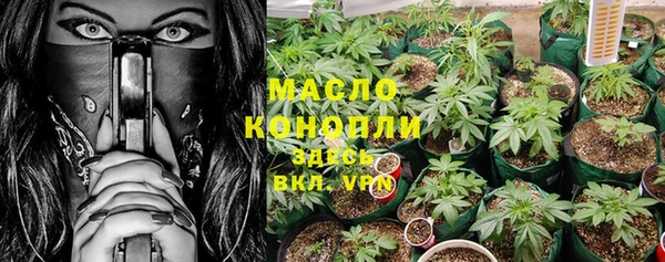 сатива Магадан