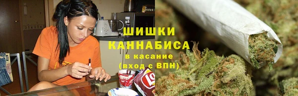 сатива Магадан