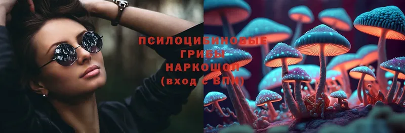 Псилоцибиновые грибы MAGIC MUSHROOMS  Остров 