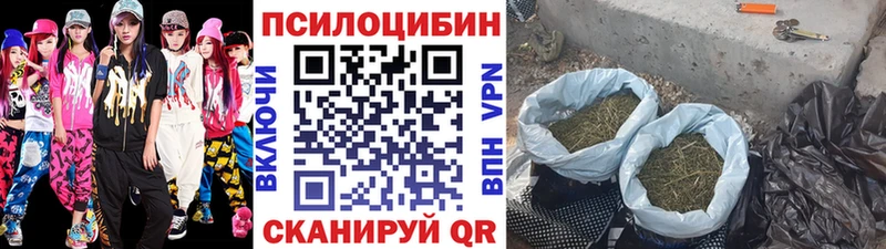 сайты даркнета телеграм  закладки  Остров  Галлюциногенные грибы Cubensis  ОМГ ОМГ tor 